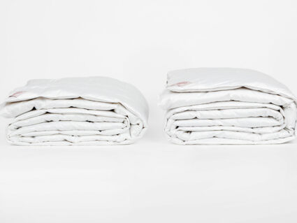 Одеяло German Grass Silver Down Grass всесезонное 160х220