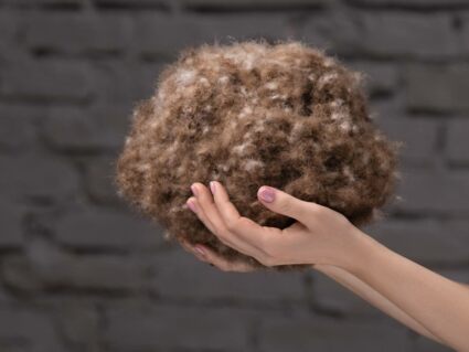 Одеяло German Grass EXCLUSIVE COTTON EIDER DOWN всесезонное 150х200