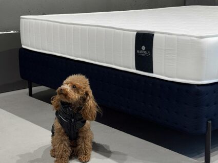 Матрас Materlux Aventino Multi Forte 60х195