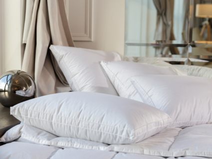 Подушка German Grass White Familie Down средняя 60х80