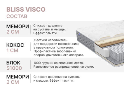 Матрас Димакс Bliss Visco 90х195
