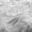 Подушка Nature’S-Natura Sanat Люкс 50х90